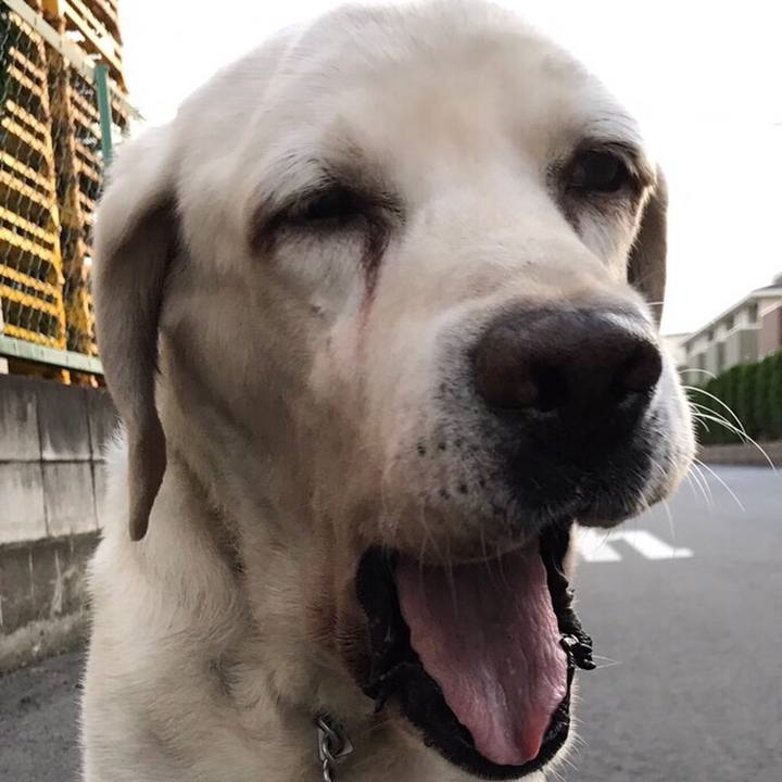 9931cebf b899 40ce b83d 905fe3656ad3 1554123577214