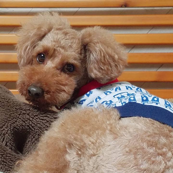 993240a9 5a3d 4fc6 b2bd 4ba83ca8f871 1548083997645