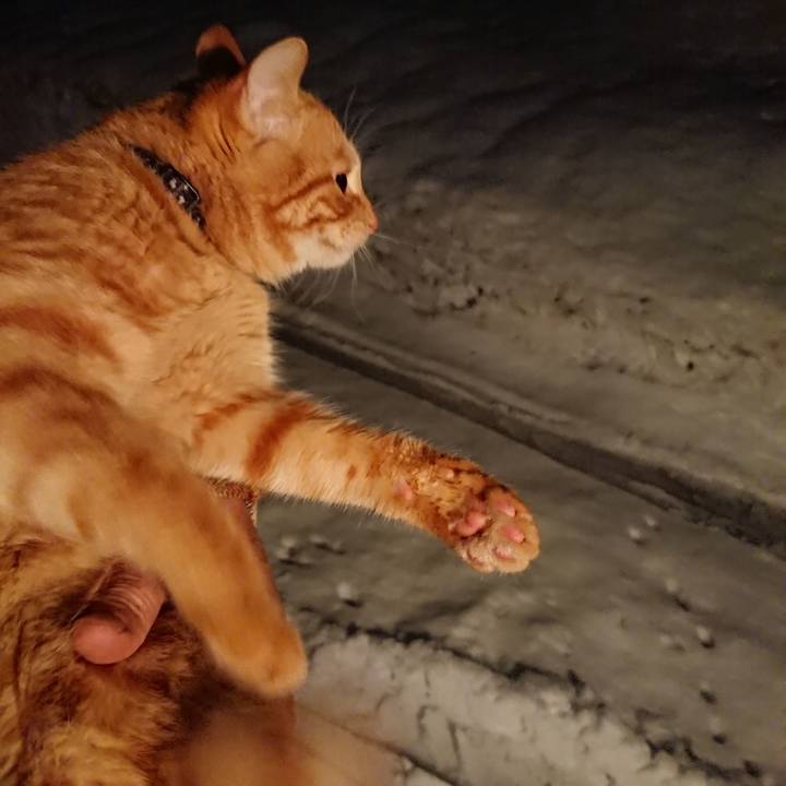 993252fd c11c 402d 850c 6e6ebf0a578a 1641727789107