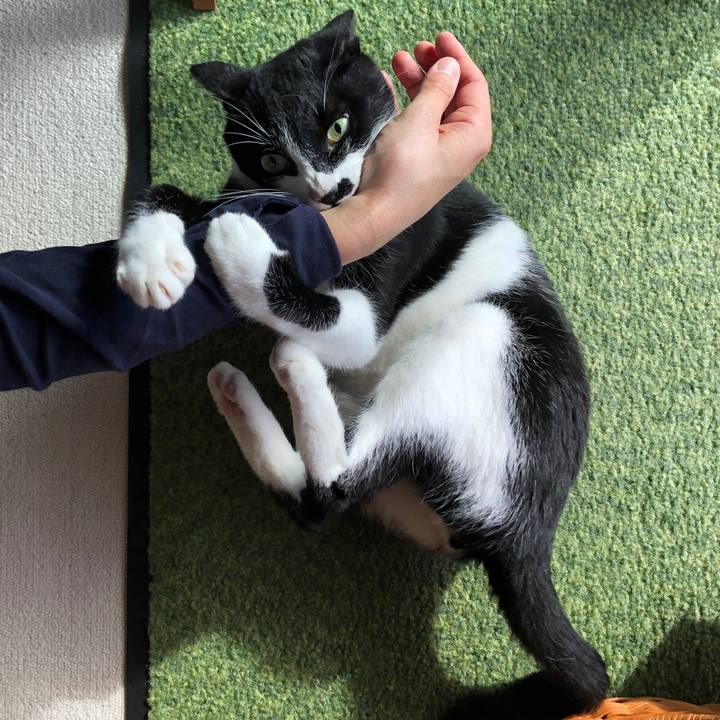 99325954 7875 4a79 9947 eb7734afb51c 1538733883812