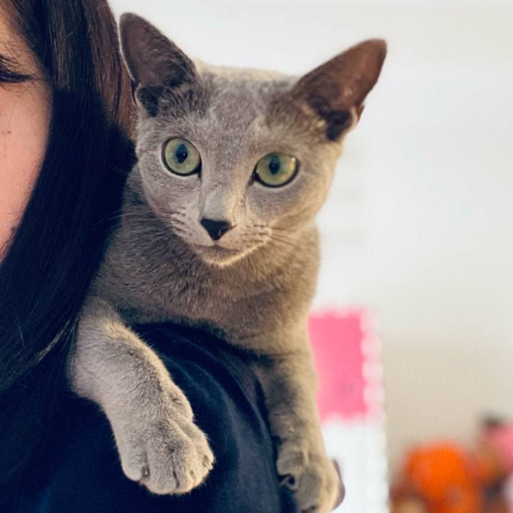 9932c266 04b0 43d3 9e1b c7ef41a39dfd 1624230267690