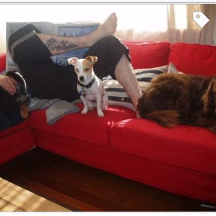 9932d574 88f1 4401 8307 efe285f1e491 1762214531825