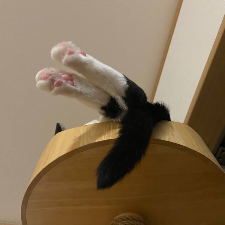 9932e338 287b 4ed9 986a 8411cc9c418d 1661468967241