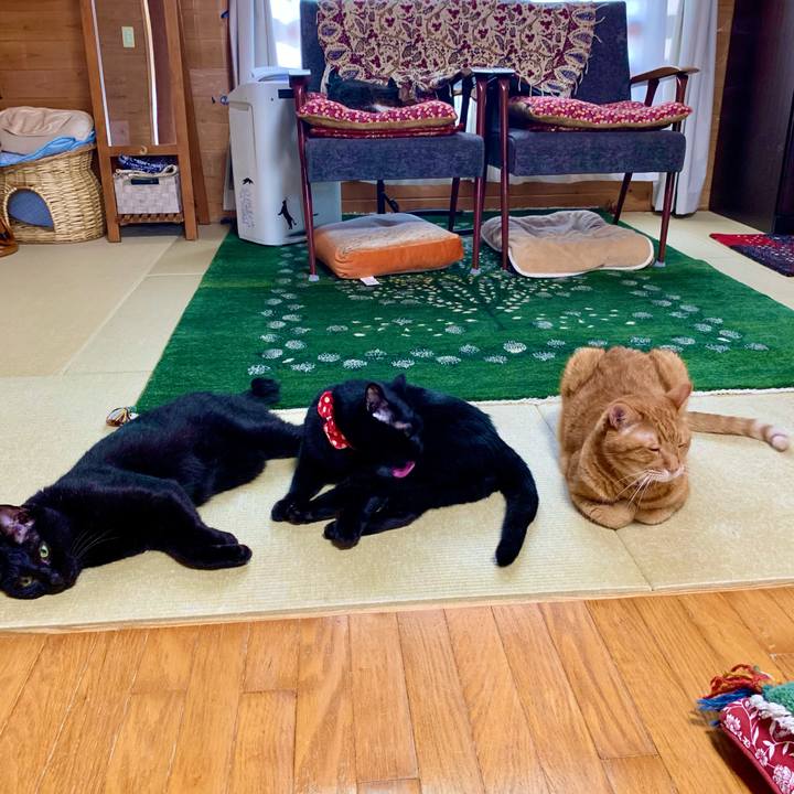 9933071a 15f6 477b b11c 6067622f6a34 1630390818696