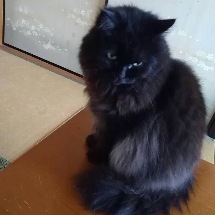 993314f9 a230 42e5 84f0 db98857fa082 1524139225989