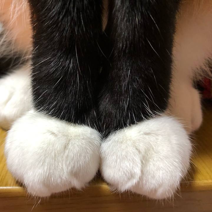 99331988 5ffe 44d4 9447 6f3d31a132ff 1608161846915