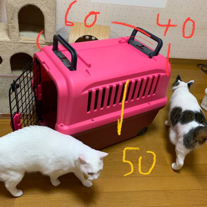 99333550 c64e 4815 8f74 cb51161947b4 1640260361875