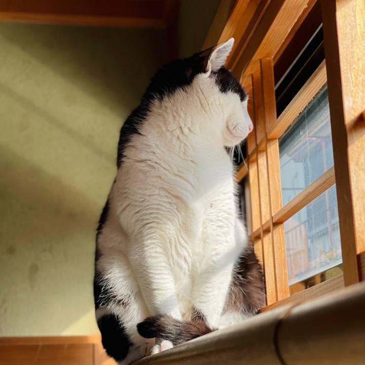 993364a4 3119 4436 8e85 4c3b5889c7b5 1648176522489