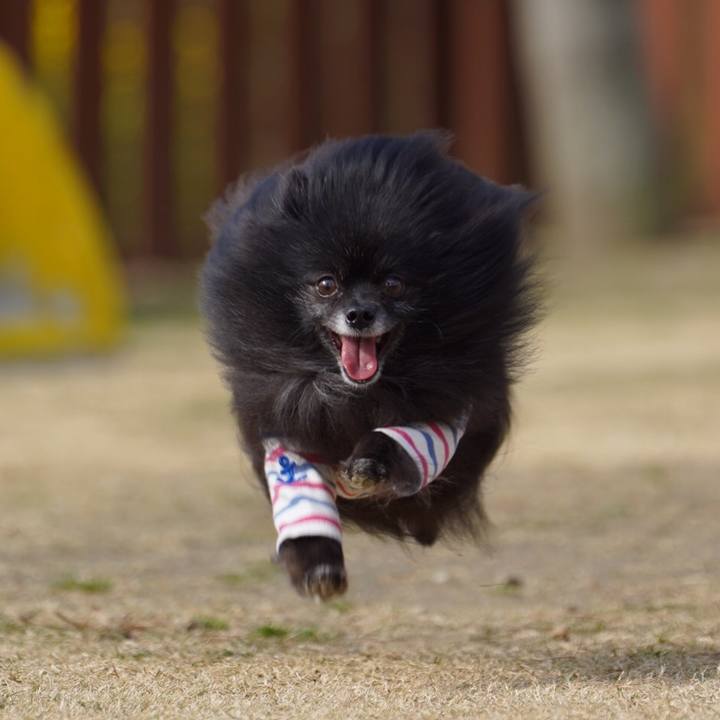 993385b4 d0ff 4ee2 8b5d 0d178ae2da99 1548260843308