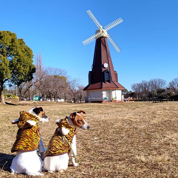 99338696 2129 44f0 871e 16ea58bf4dd4 1641008806938