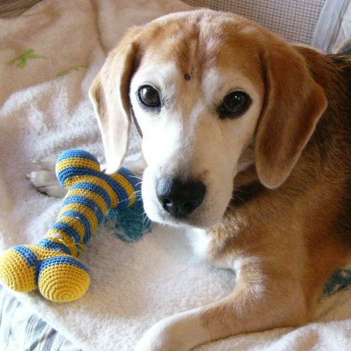 99338c25 0f54 47e0 bf64 b8eaac7dfa17 1655426422847