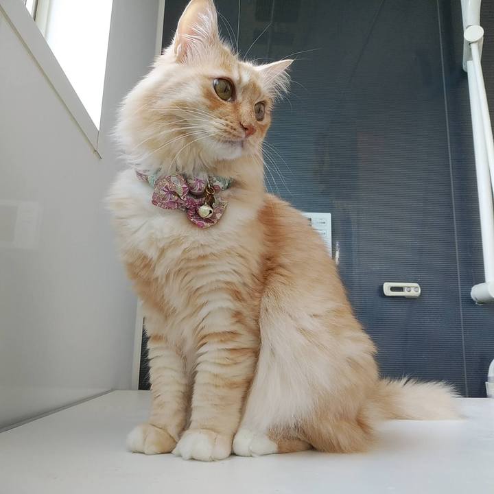 9933e7f0 27ac 43b9 9c4a 553e4d22a870 1666493012120