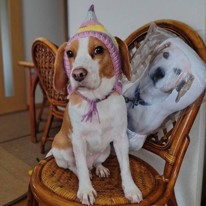 9933fa50 c0e1 4312 90fd c0ac260f9ae0 1765772437497