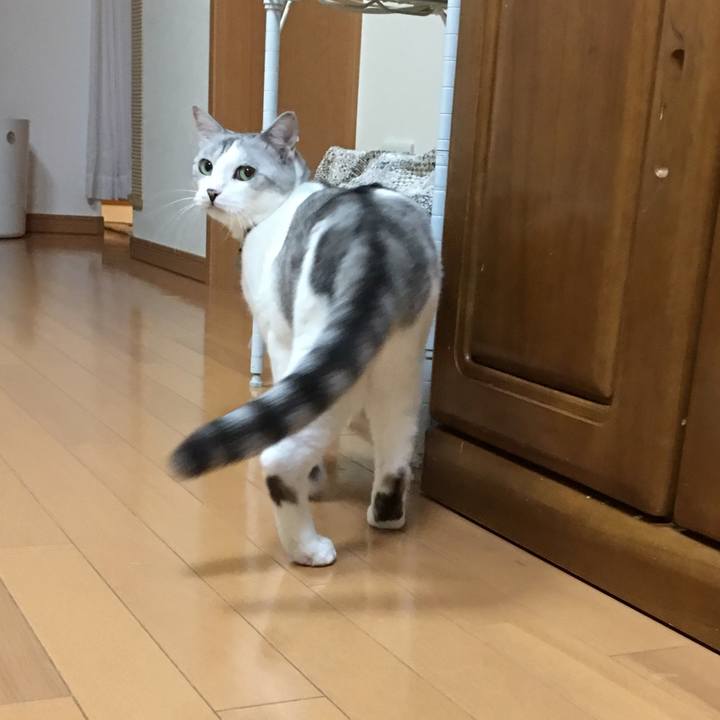 9933fcfa 5087 46f5 861b fd89a041cc1a 1531091712520