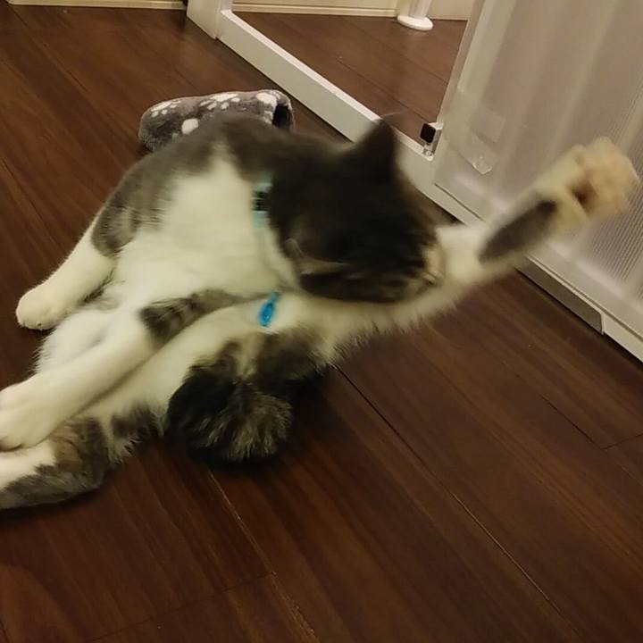 9934157d 2e18 4954 a3b1 fc11e1b002f3 1573052641930