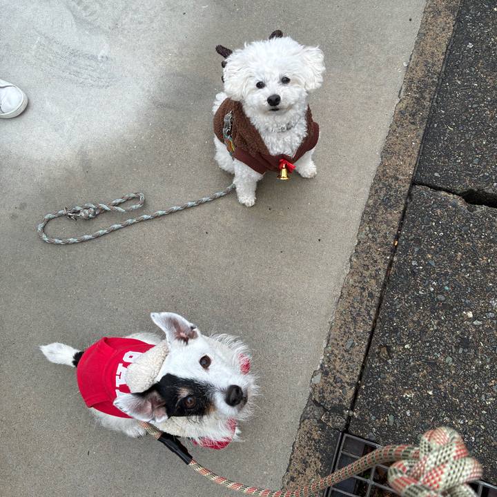 993416b2 0b40 457f b53a c3c605013349 1766619436911