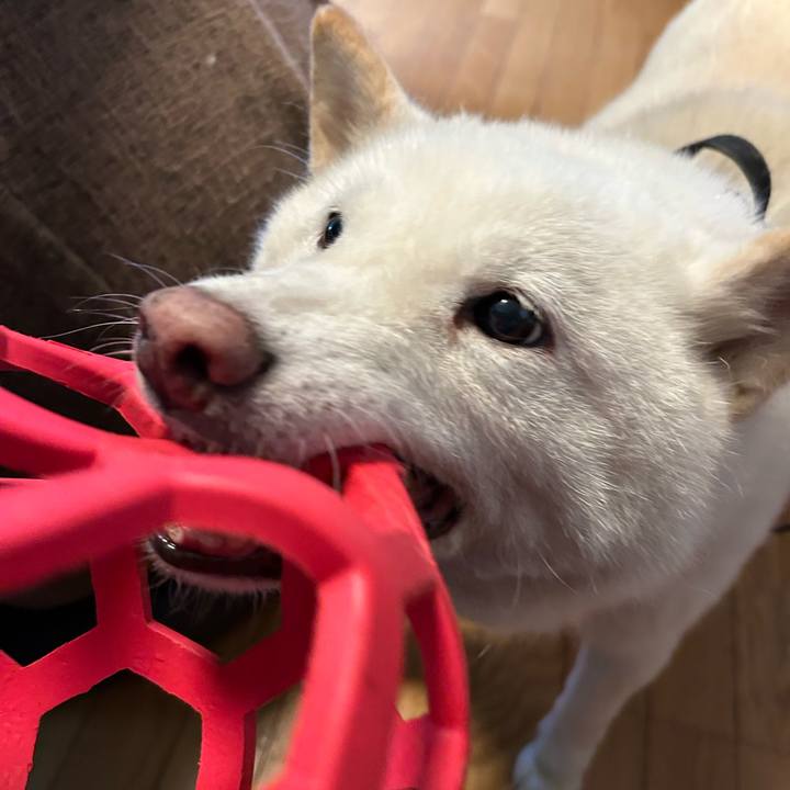 99345208 2e64 46e2 a6a6 037953667f81 1752356630557