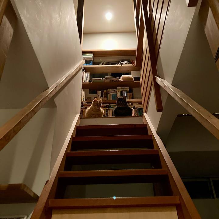 99345599 14f2 4edd be3e d37a853be3bc 1702162700613