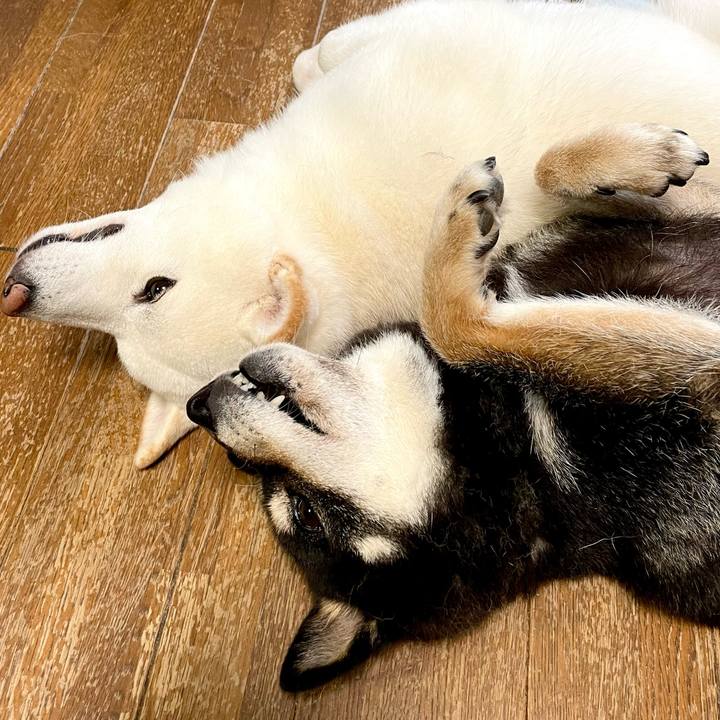 99345b75 d02f 40ac 80b9 895870f9d5bc 1658131165831