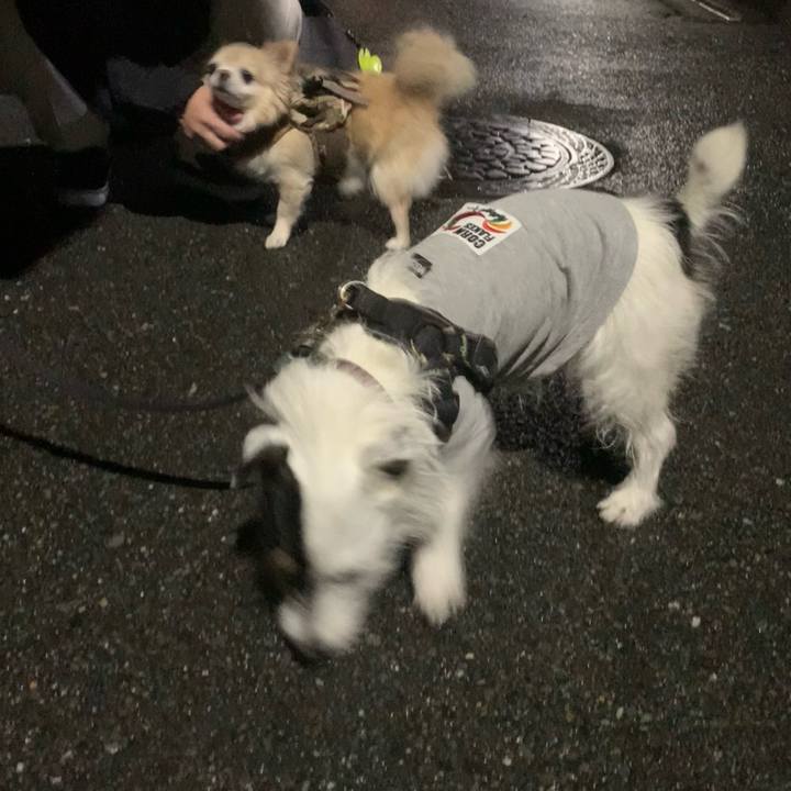 993466a0 d995 4fc7 a043 e4a6b2967abd 1687441617842