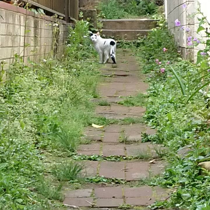 99347009 cd45 44e4 8b45 34b51f08bdae 1682129253456