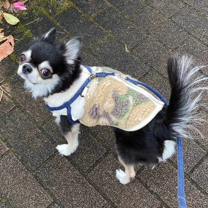 99347e71 75d4 41da b687 4ef9ac738fd3 1671376828151