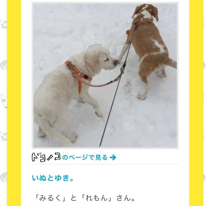 9934aee1 094a 4d0e bb87 fc1b5757cfd7 1549266976347