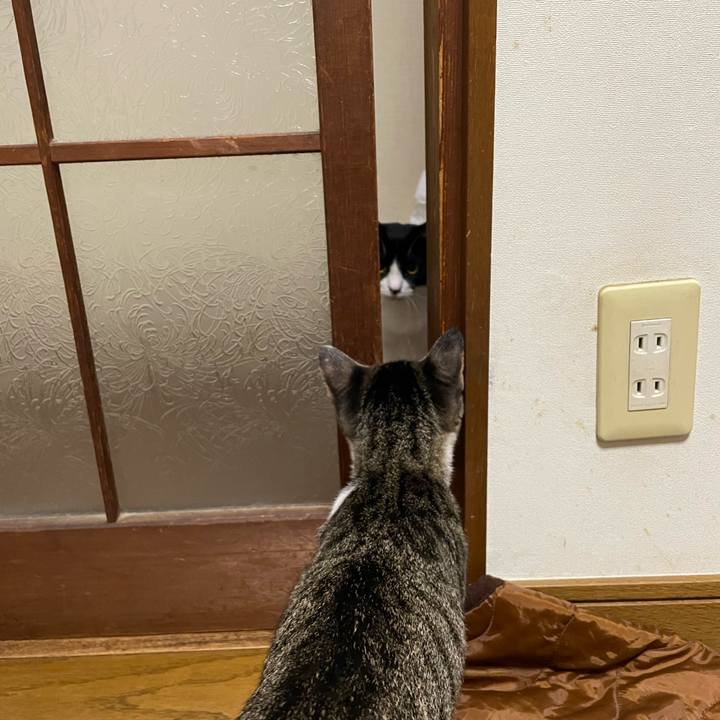 9934c787 7a78 4c51 a761 e76d6484c9d5 1727258257265