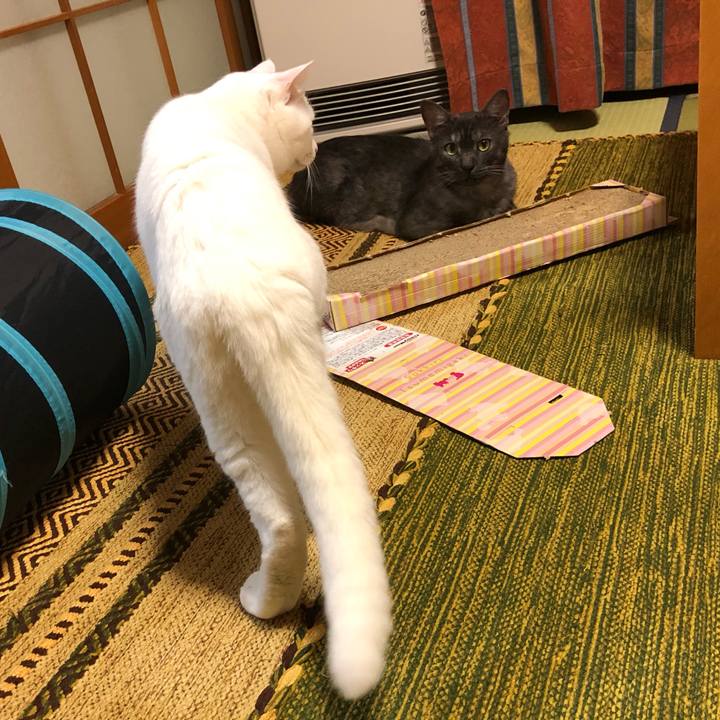 9934ceff a3c2 4b6e a665 dc8408d65bfb 1595249636633