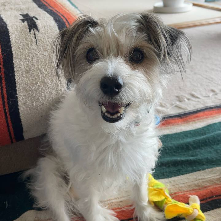 9934cfe3 ce1a 4b7f bdb5 1d86669b5fc4 1773837471775