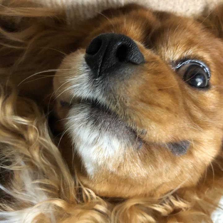 9934d4f0 8b82 4557 9199 199ff2f5ef8d 1619788661317