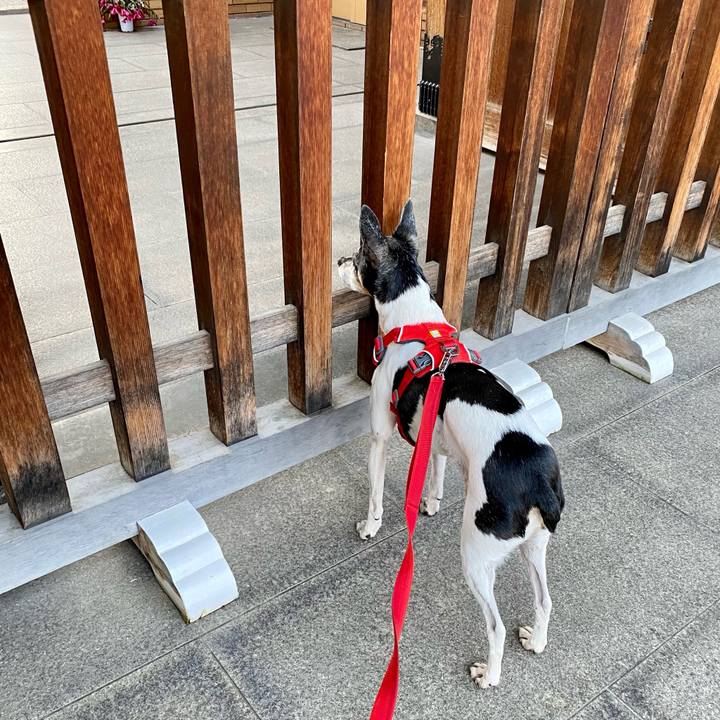 9935180e f165 4f42 92ae 0bfb1dac41ce 1613205736032