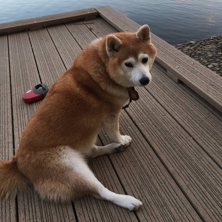 99352720 eed9 46b1 b86a e3e2ecdd6514 1543297586342