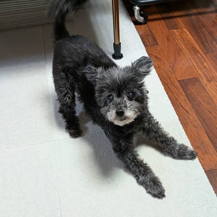 993543ea a41e 48a7 9ac1 ff87ae3e699a 1761221849801