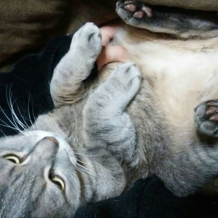 99356216 1fb8 4c76 8368 9aa4231a06d6 1519420858511