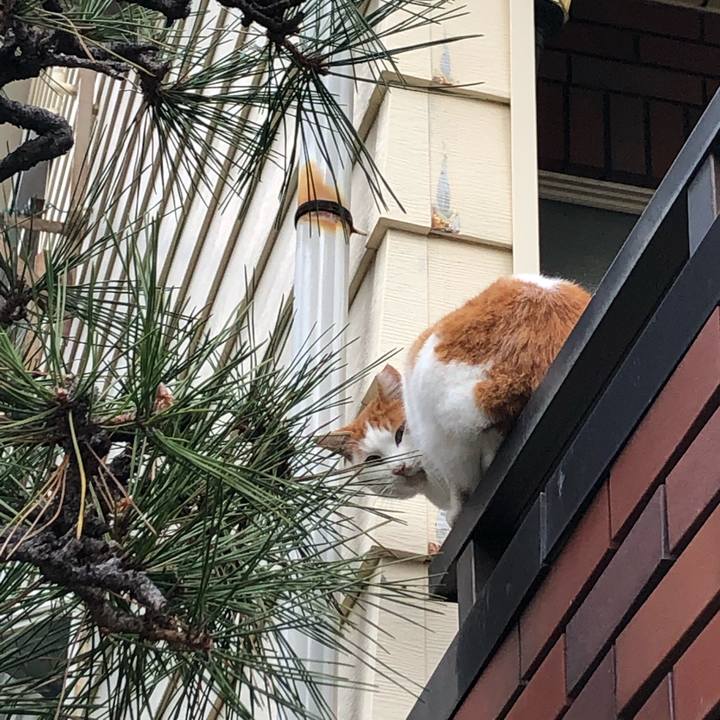 9935b962 d626 4a9e bf48 f21fd6f1e23e 1643872938606