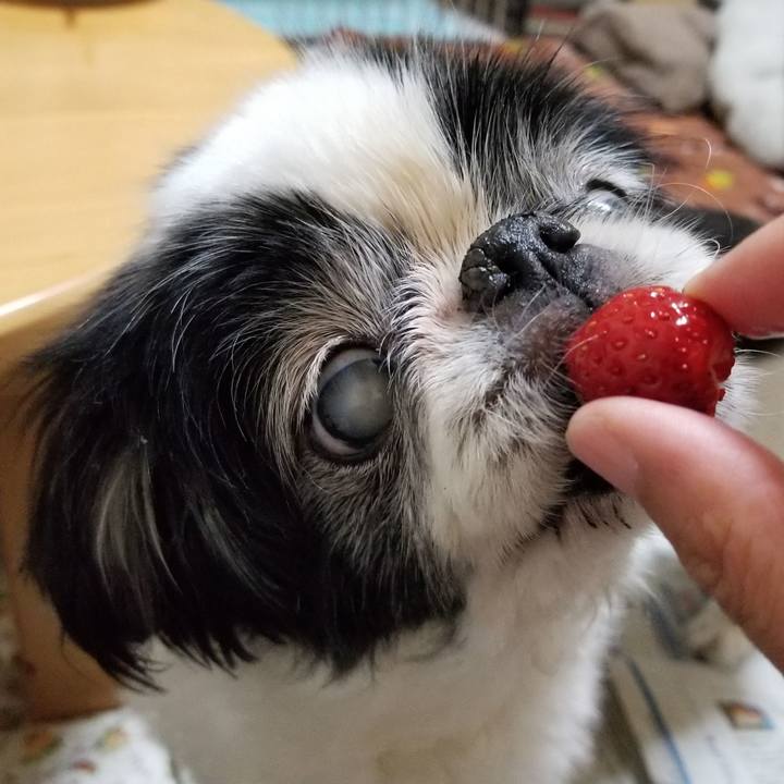 9935bb1e 15fc 439f b9f5 43124e60f5f3 1618915646384