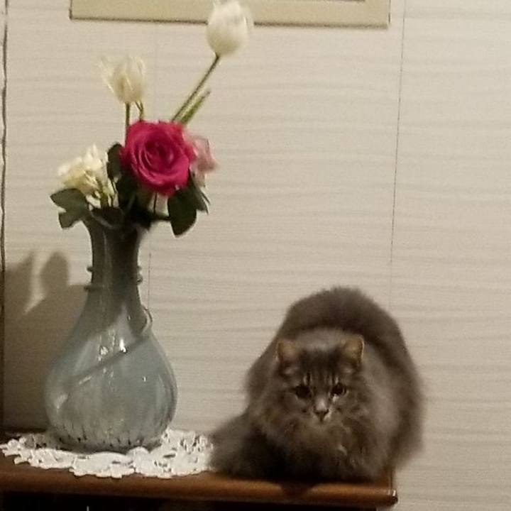 9935ed24 955c 46e2 a3d2 e367b17943ee 1581677195548