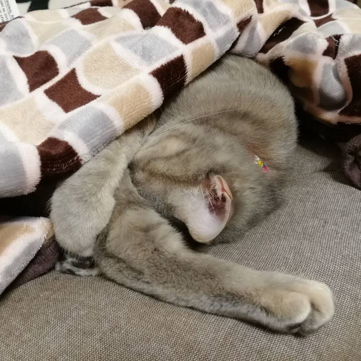 9935ee52 17ce 45f2 9acf 6939265f9612 1549330748316