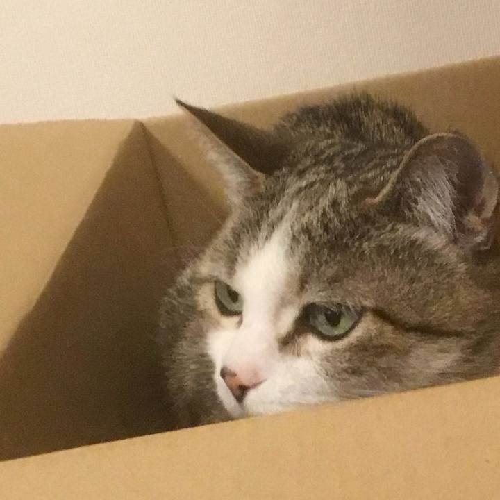 99360fad 6a21 4a29 b04e d84047d7bbd2 1773183113385