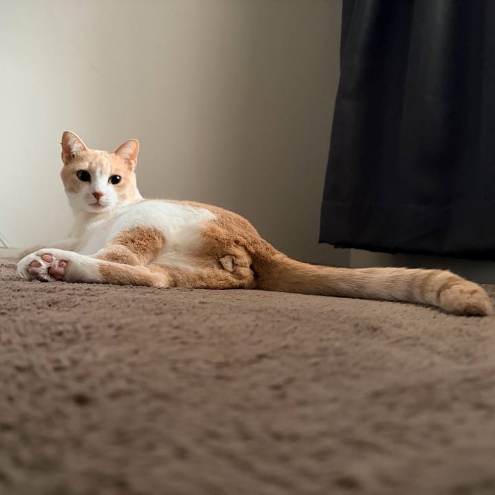 99362acf 39a6 4d6d b735 0cc6319222ab 1772848721990