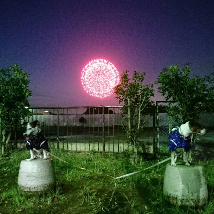 99364d1d e5d0 4881 bf16 de5f0c693d1c 1564832302297