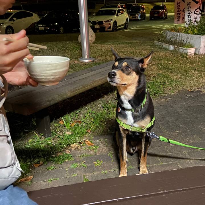 99368946 61ee 456f 8ee9 ac0b24da909d 1606052780813