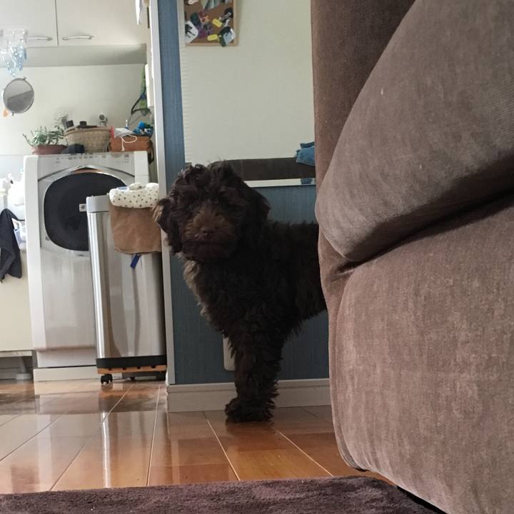 9936c292 96de 4f17 bc61 700e062f5ca1 1543723927509