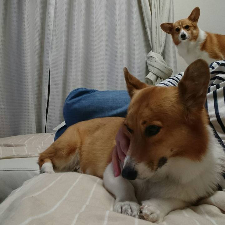 9936e25c 79fb 4483 8451 6b9059f68b13 1542542200721