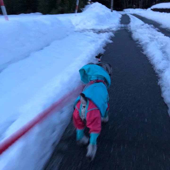 993752e7 d8ee 40dc 8d57 794b1c831f19 1518609465476