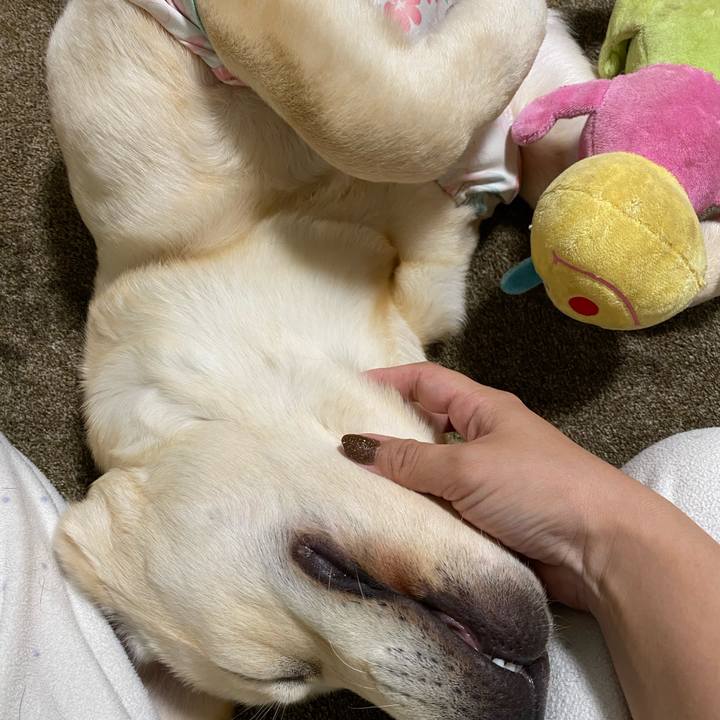 9937632b e2f2 4495 a517 9a73cf8cc870 1620309932944