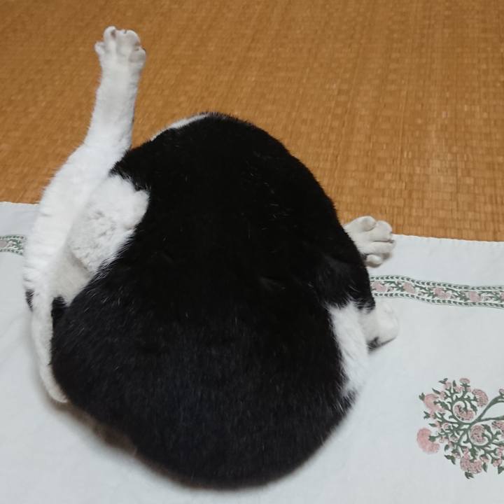 9937ca9a c241 47d3 b0cf 4424bdabb6fb 1623879973719