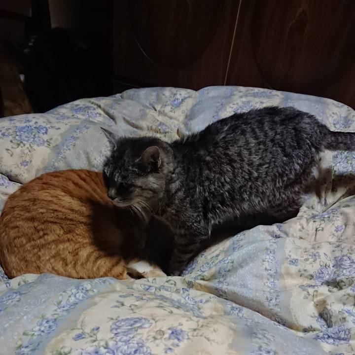 9937da3e 70db 4e91 b2a5 0fe012e1257d 1576408952015