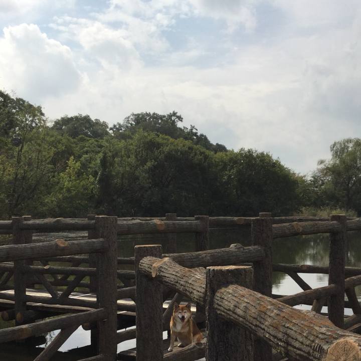 9937f73f a5ed 425d 85df 3c43bbf7047e 1570067348293